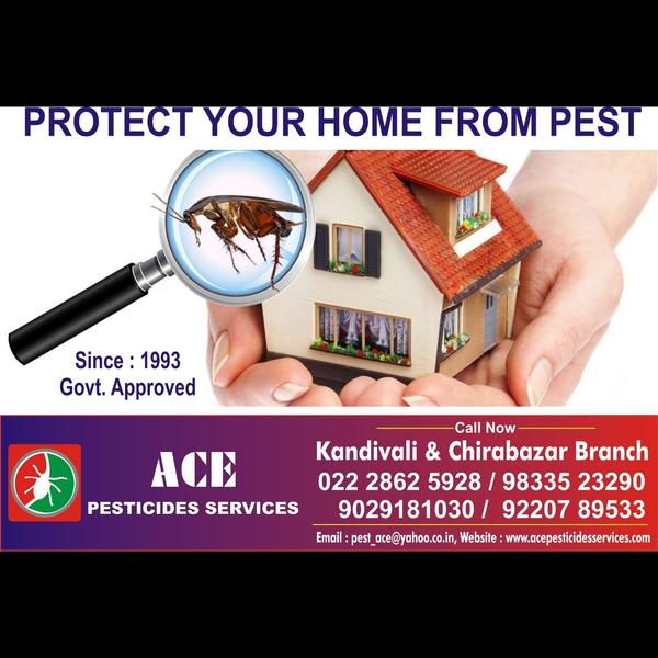 ACE PESTICIDES SERVICES- since