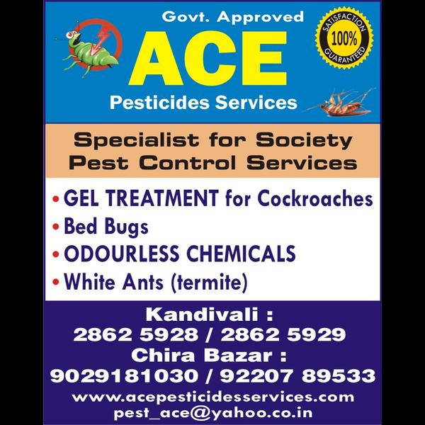 ACE PESTICIDES SERVICES- since