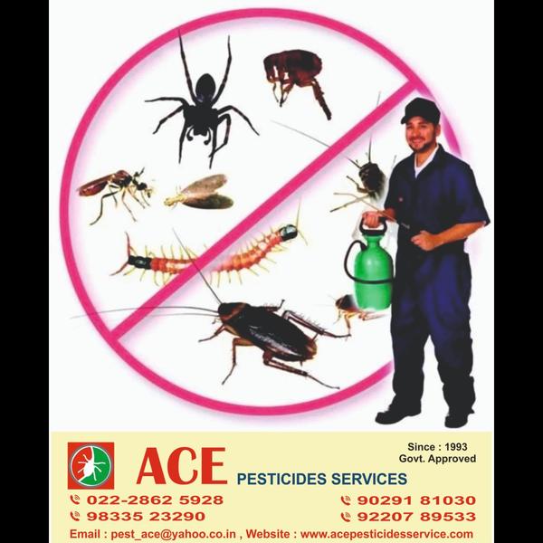 ACE PESTICIDES SERVICES Offer 