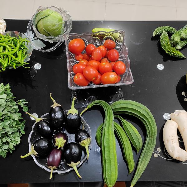 agri tourism farm experiences