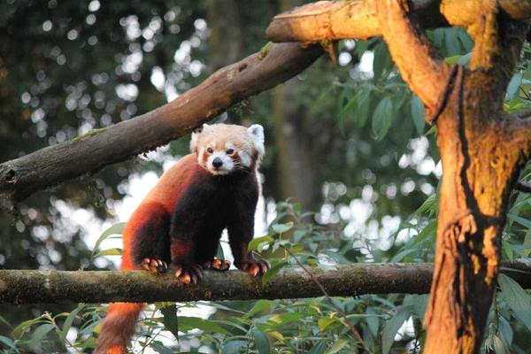 Tourist places in Meghalaya

B