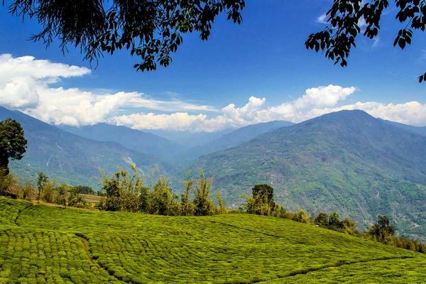 Tourist Places in Sikkim

Sout