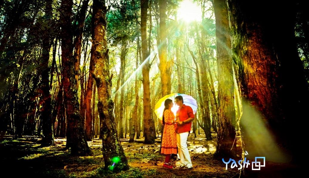 wedding photography services m