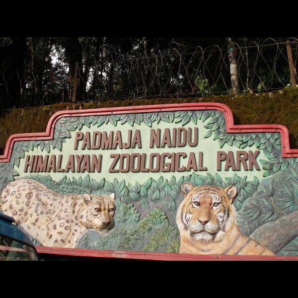 himalayan zoological park darj