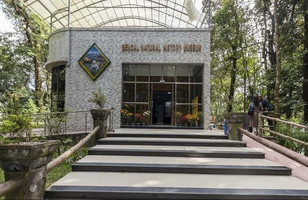 Places To Visit In Darjeeling
