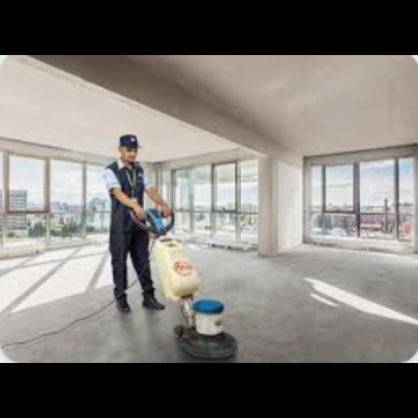 eco friendly carpet stain remo