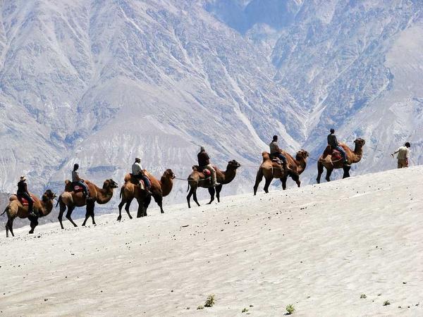 Places To Visit In Ladakh

Bac