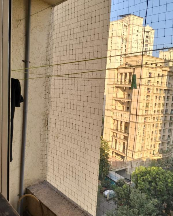 “Soham Bird Pro Services” is a