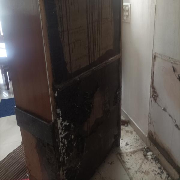 protect your home from termite