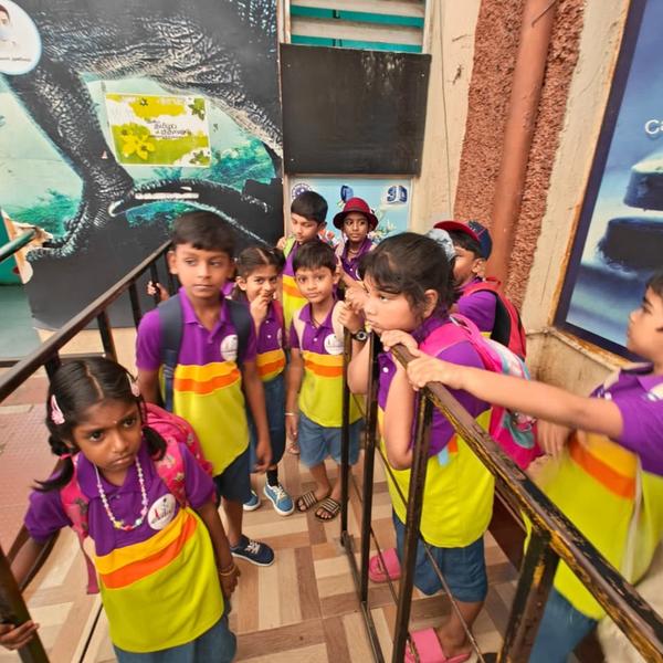 🌟 Montessori Explore Con