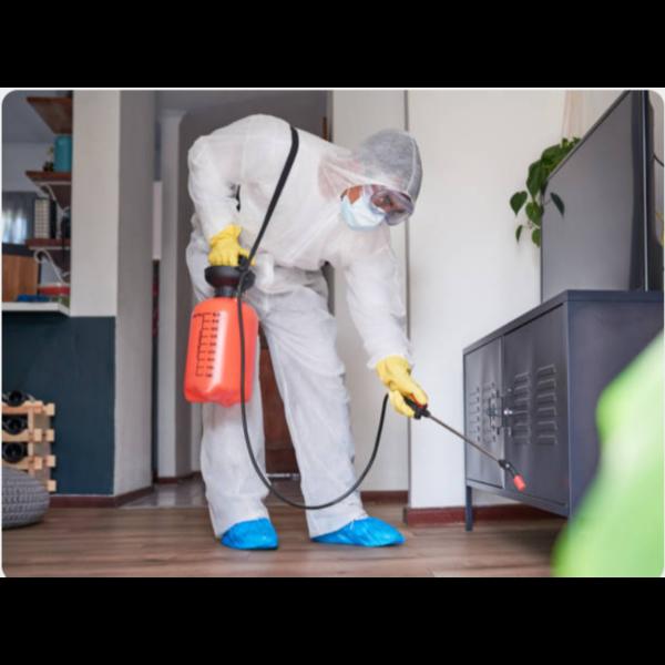 termite and cockroach treatmen