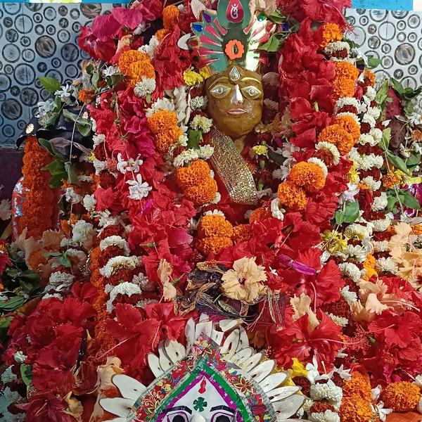 Top North Indian Pandit for Po