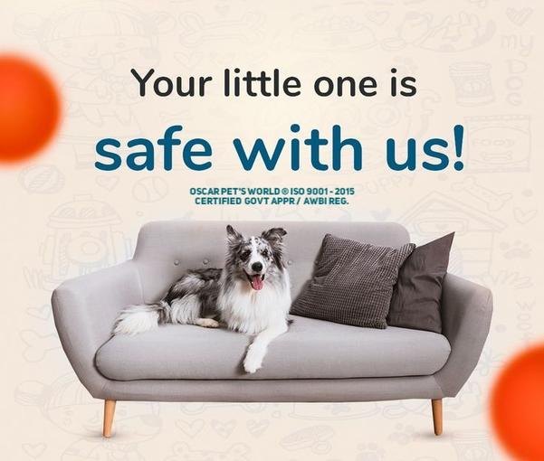 reliable pet boarding centre