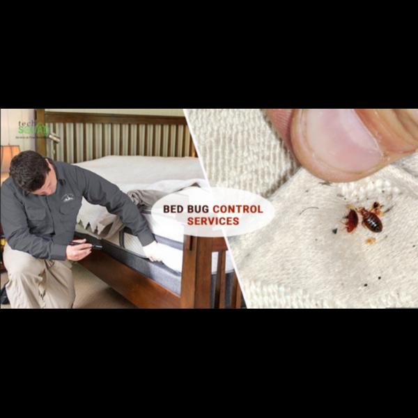 eliminating pests