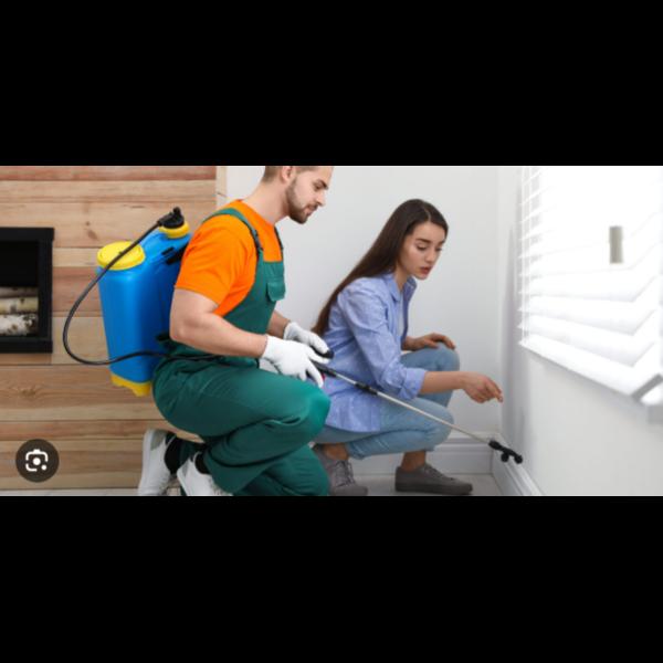 pest treatment for residential