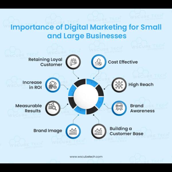 strategy driven creative campa