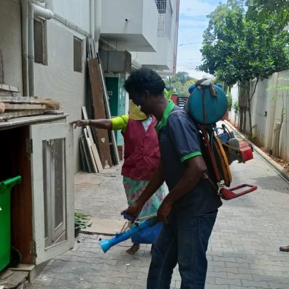 mosquito service in Sandhya Ja