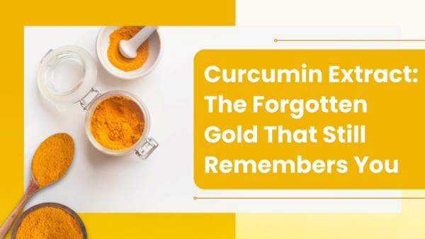 Curcumin Extract: The For