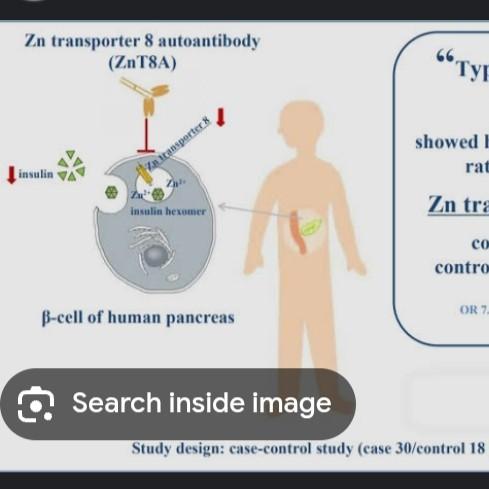 spike protein antibodies test