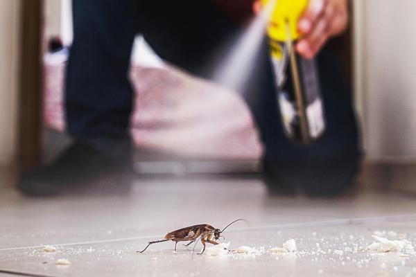 effectively eliminate pests