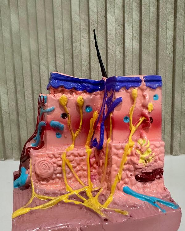 prp hair loss treatment salem