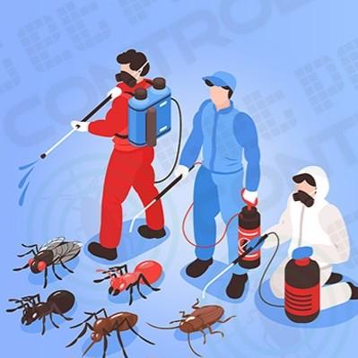 Finding the best Pest Control