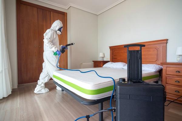 heat treatments for bed bugs