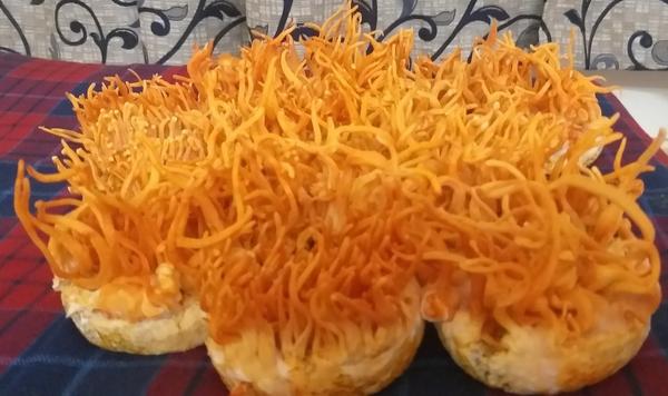 I am Dr. Mohan, a Mushro