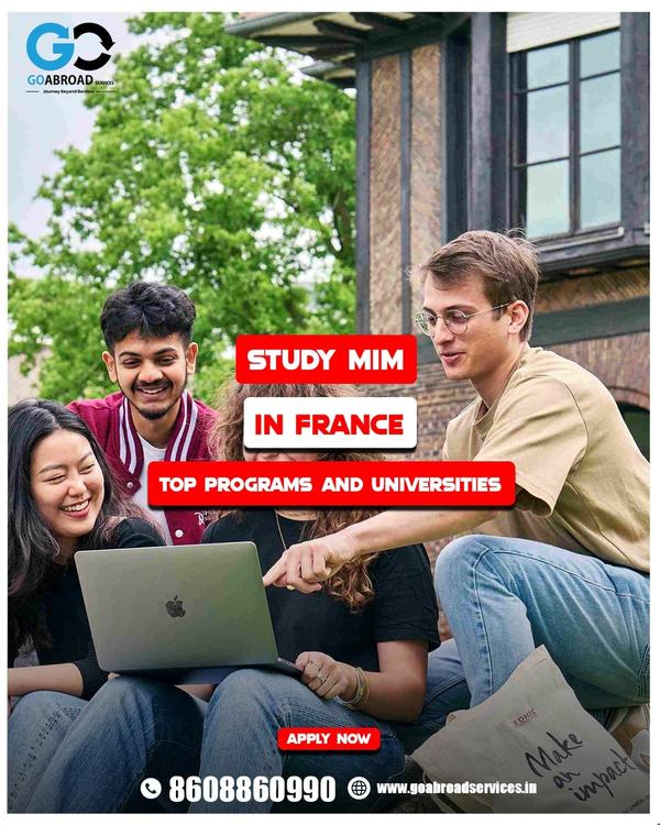 mim in germany course fees and