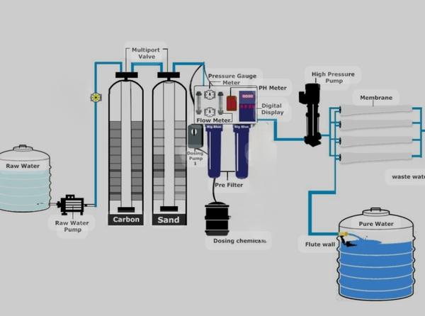 NF plant is suitable for