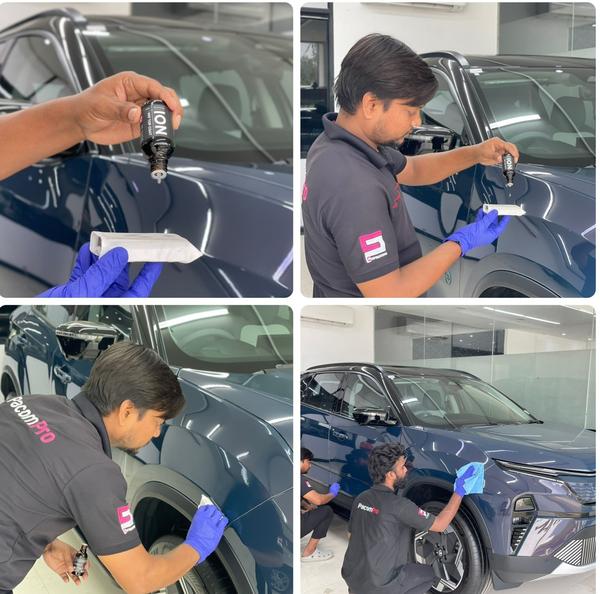 paint protection film for tata