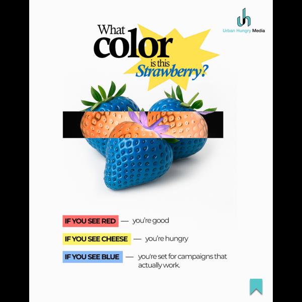 strategy driven creative campa