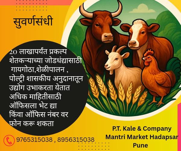 pmegp consultants in pune