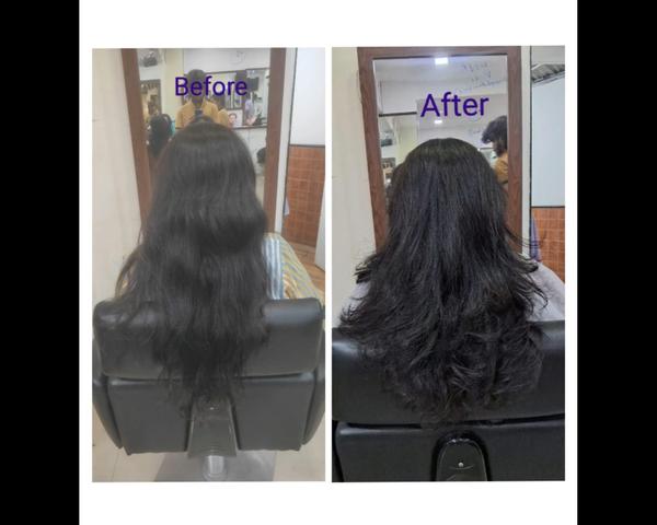 Master the essentials of 