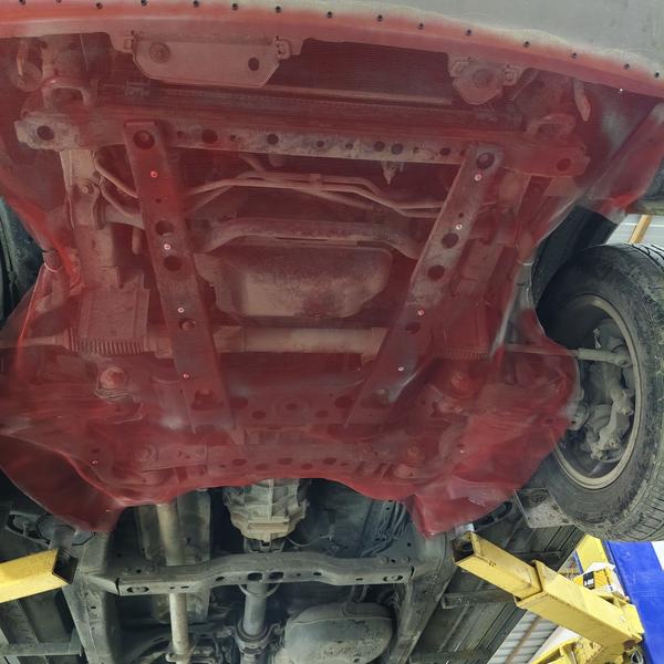 car rat mesh porur beejees car