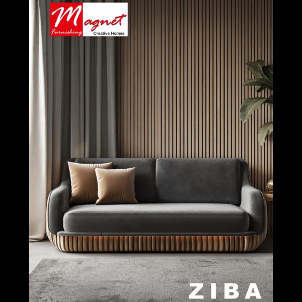 The ZIBA C