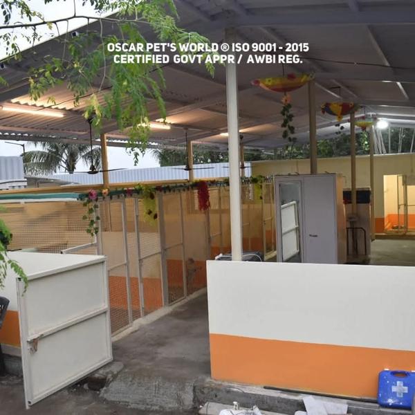 luxury dog boarding thane with