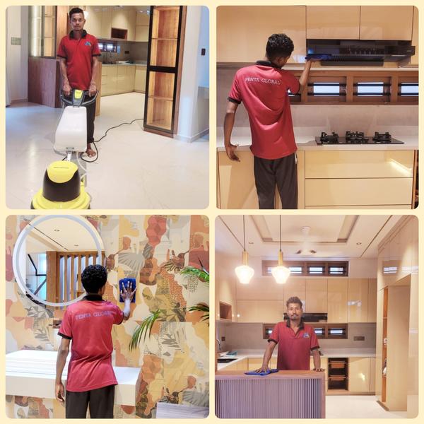 Looking for reliable and profe