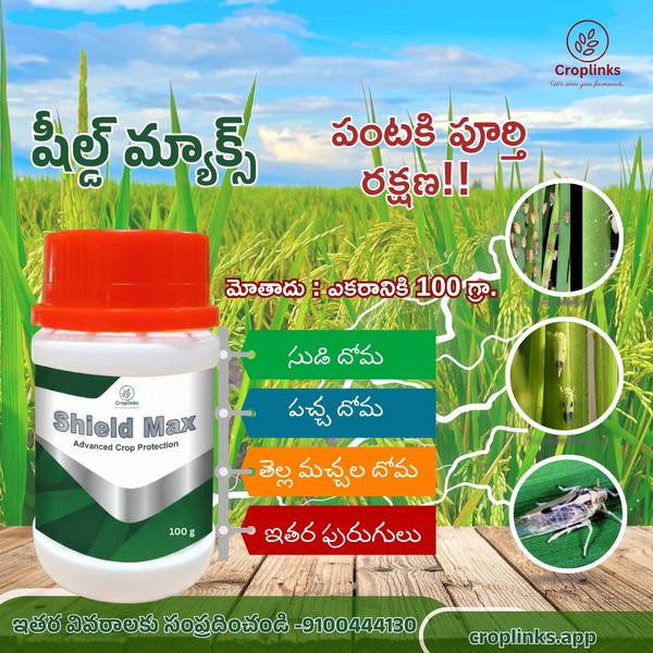 An organic insect repalle