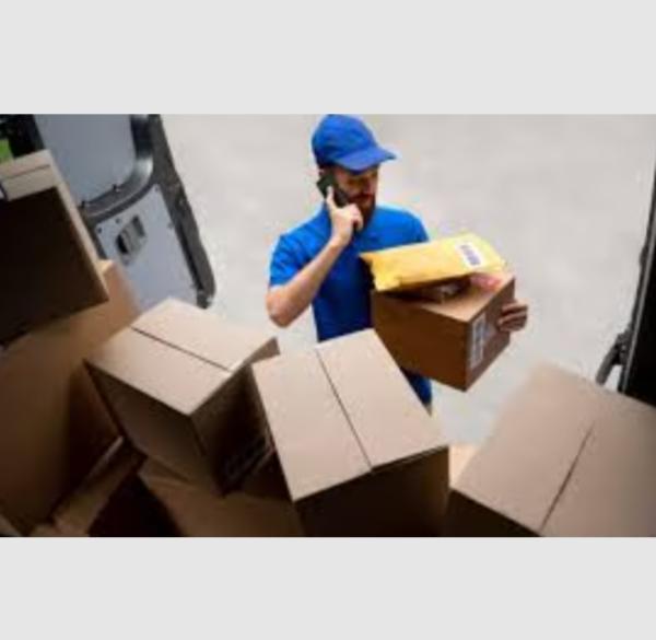 professional movers dwarka sec