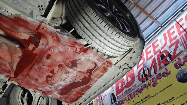 car rat mesh porur beejees car