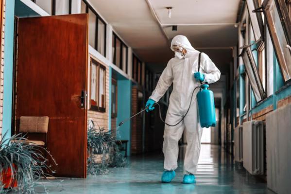 commercial setups making