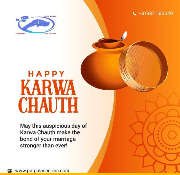 🌙💫 Celebrating the eternal b