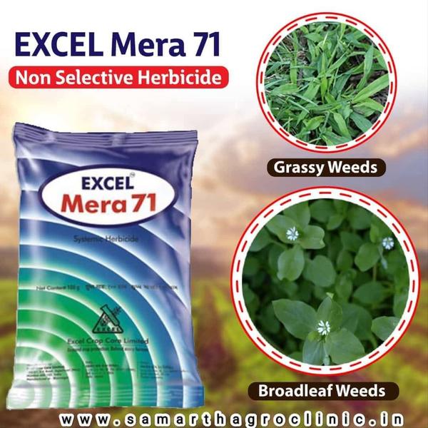 ๐๐๐๐ 71 Excel Mera 71