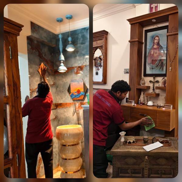 Looking for reliable and profe