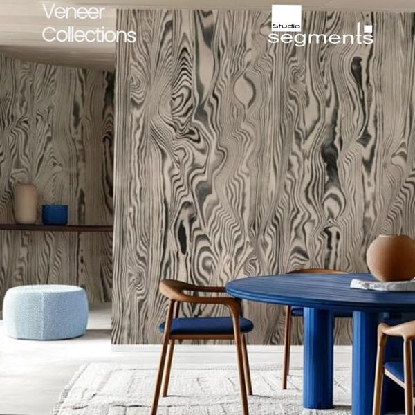 Welcome to Studio Segment