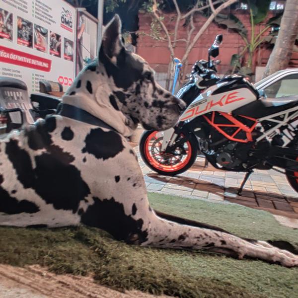 KTM Duke 390 in for major serv