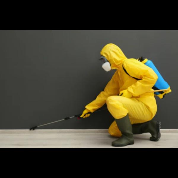 **Pathrol Pest Control Service