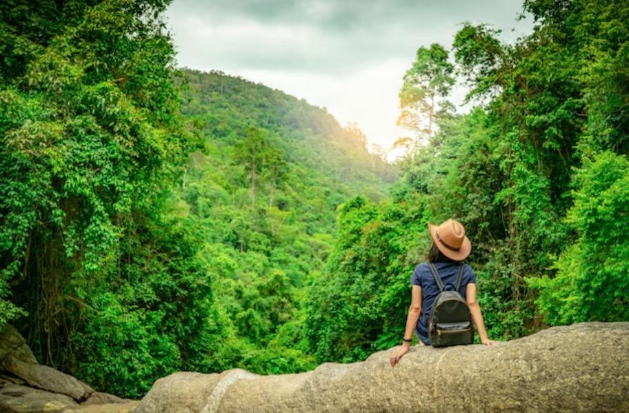 shimla sightseeing and travel