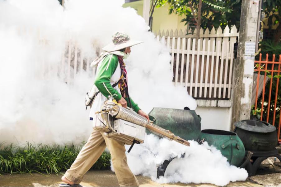 Mosquitoes are not just a seas